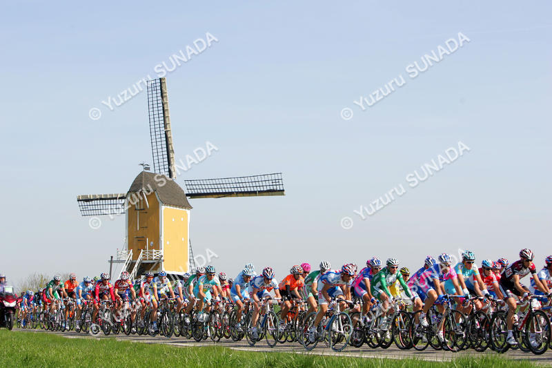 Windmill006p.jpg